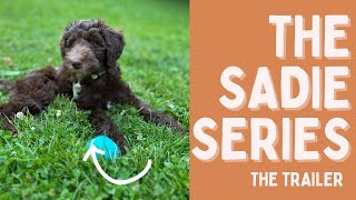 The Sadie Series - Trailer - Resa’s Trick Academy
