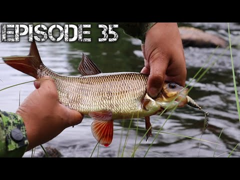 Kalastusta metsäjoella 2020 | Erämaiden Kulkijat