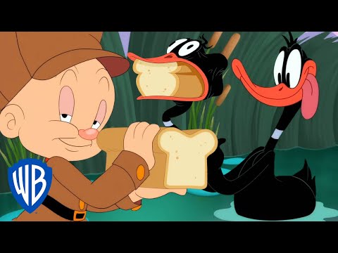 Looney Tunes po polsku 🇵🇱 | Jak złapać kaczkę | WB Kids