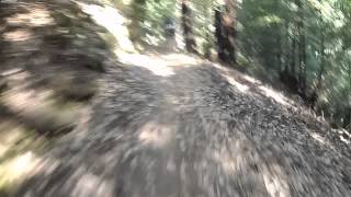 Skeggs Crosscut Trail