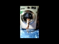 Cat Checking Washing Machine
