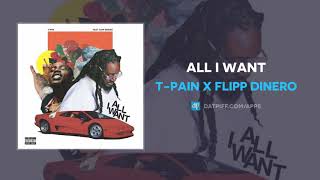 T-Pain x Flipp Dinero &quot;All I Want&quot; (OFFICIAL AUDIO)