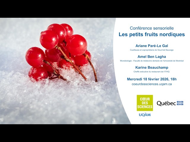 Conférence sensorielle: «Les petits fruits nordiques: des trésors à redécouvrir!»