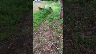 樫内利政 撮影　釣りまつり会場準備です、ゴミ多いなぁ