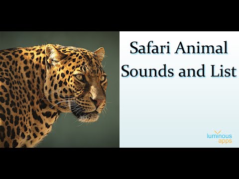 Safari Animal Sounds and List Video