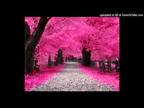 Today's Tango Is... Color de Rosa - Eduardo Del Piano 02-08-1957