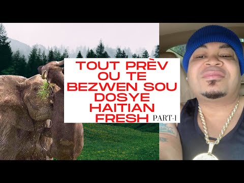 Men verite nou tap tann nan men Haitian Fresh sou Blaze one #1