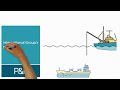 The International Group Reinsurance