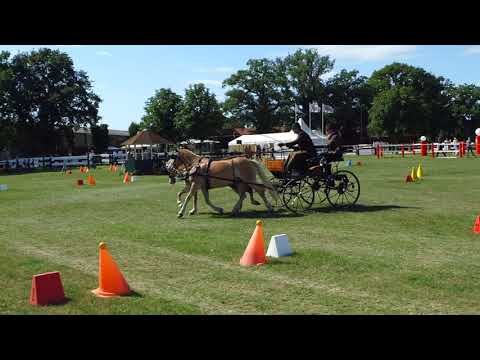 Fahrturnier Ostenfelde 14.8.2021