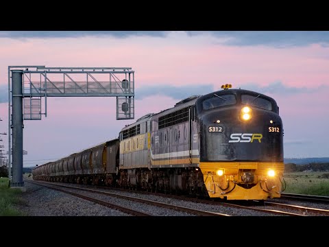 S312 - A Dynamic Brake Like No Other! | SSR's 9384 from Murchison East