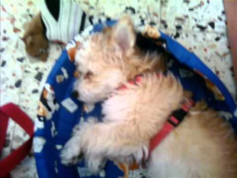 Cumpleaños de Yurena 25.09.2010