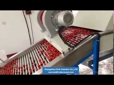 cherry tomato washing drying grading line, tomato processing line