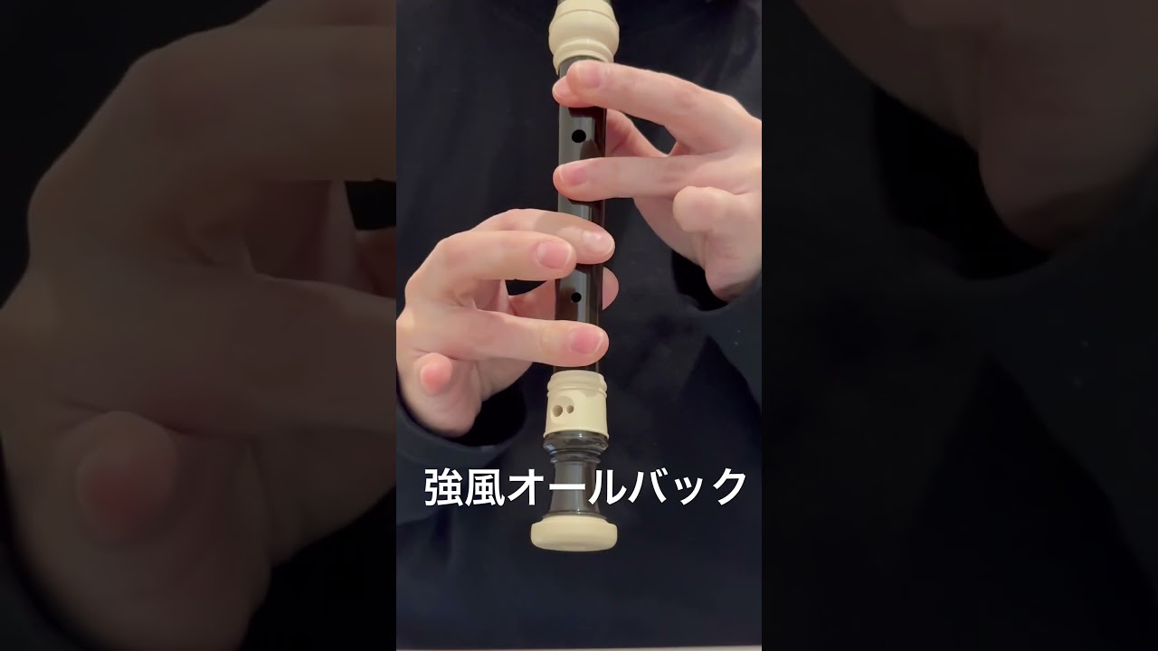 【リコーダー】強風オールバック吹いてみた#shorts