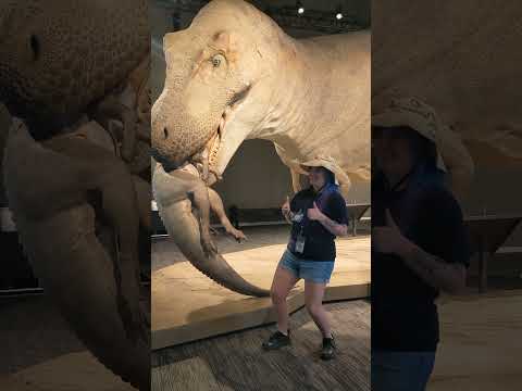 The most complete T. rex fossil ever found was #Unearthed 34 years ago!