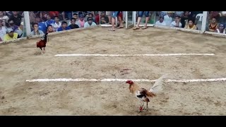 Download lagu Pyle Lines mp3