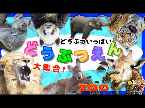 野生動物の名前