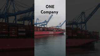 ONE Company Ship #one #youtubeshorts #msc