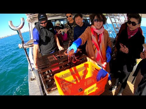 Mandurah Cruises