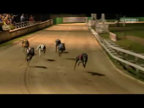 Queen Asia - BGBF Oaks 2016