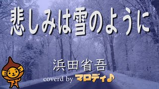 片想い 浜田省吾 Cover 歌詞 英訳付き Song By Martin تحميل اغاني مجانا
