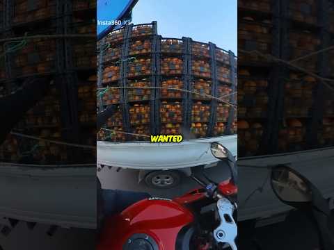 Biker Wanted Some Free Fruit !