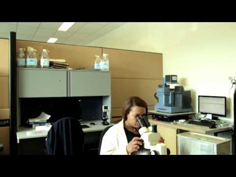 SFU fuel cell research: green technologies of the future