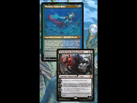 Tevesh Thrasios CEDH