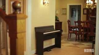 Korg LP-380 Digital Piano: A pure piano experience, with style to fit any space.