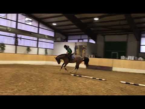 4 Yo Cascadello in steel