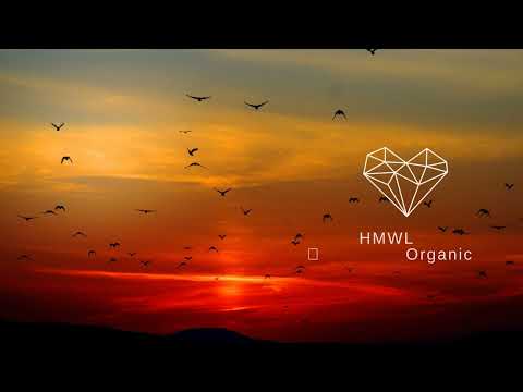 Yoni Yarchi, Sonicvibe - Anticipation (Original Mix) [Melody Of The Soul]