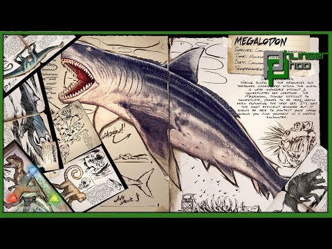 Ark Basics Megalodon - EVERYTHING YOU NEED TO KNOW