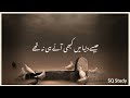 Kya Zindagi Hai Qabar Molana Tariq Jameel Status SQ Study