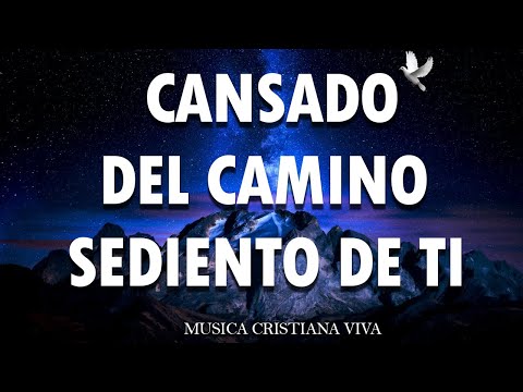 Mezcla De Alabanzas De Adoracion Mix - MÚSICA CRISTIANA 2024 TRAE BENDICIONES A TU HOGAR - Sumergeme