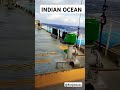 🌊✨ Indian Ocean: The Ocean That Connects the World! 🌍