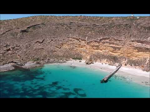 Drone Footage at Althorpe Island, South Australia