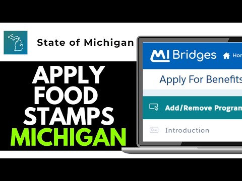 How to Apply for Food Stamps in Michigan 2025 (Step-by-Step)