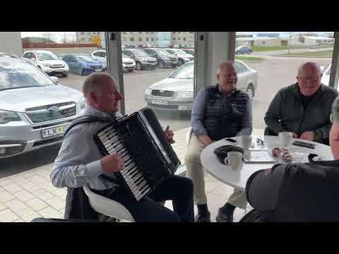 Harmonikka í Kallabakarí