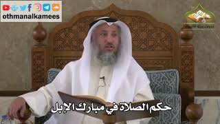 188 - حكم الصلاة في مبارك الإبل - عثمان الخميس