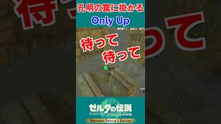 【ティアキン 実況】制作陣この時絶対OnlyUpにハマってたろｗ【ゼルダの伝説 ティアーズ オブ ザ キングダム】#Shorts