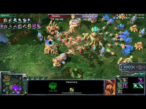 WhiteRa (P) vs Stephano (Z) - G5 - StarCraft - SC1370