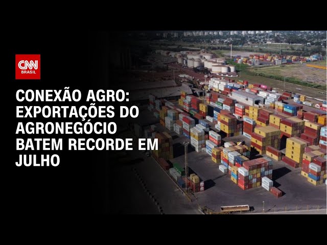 Conexão Agro: Exportações do agronegócio batem recorde em julho | CNN NOVO DIA