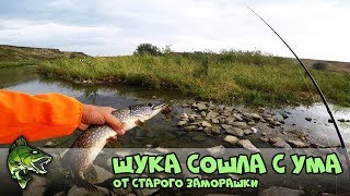 Ссылка