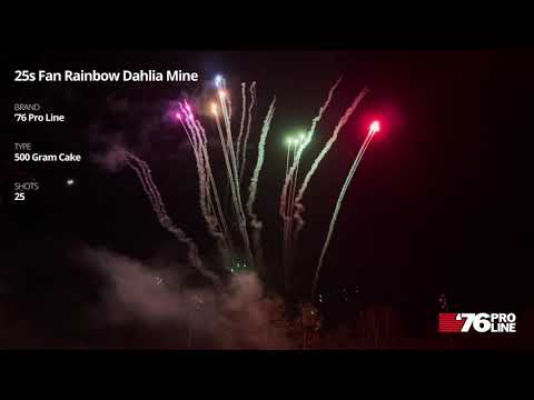 25s Fan Rainbow Dahlia Mine - 500 Gram - 76 Pro Line