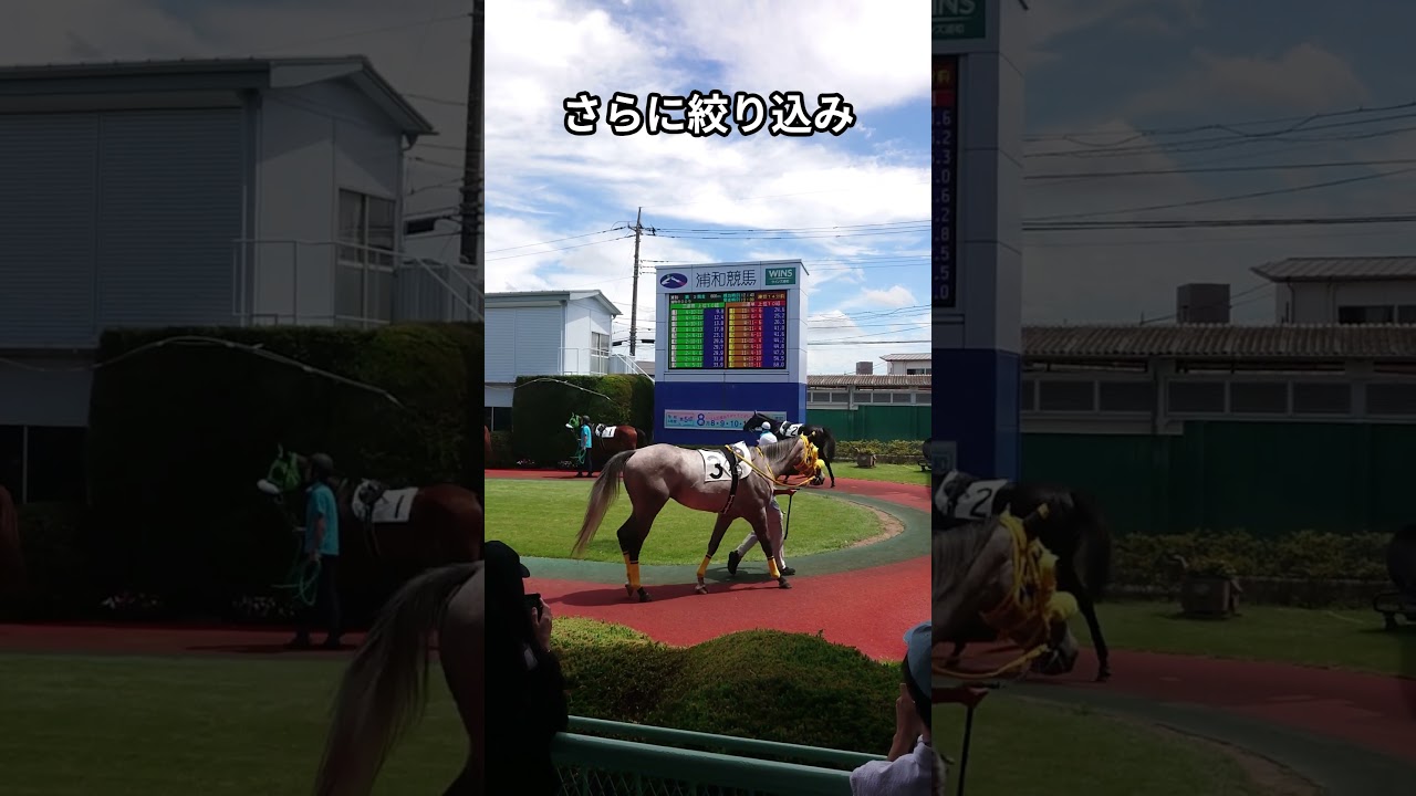 【根岸S(GⅢ) 】過去データから法則を見つけました!!  #根岸S,#競馬