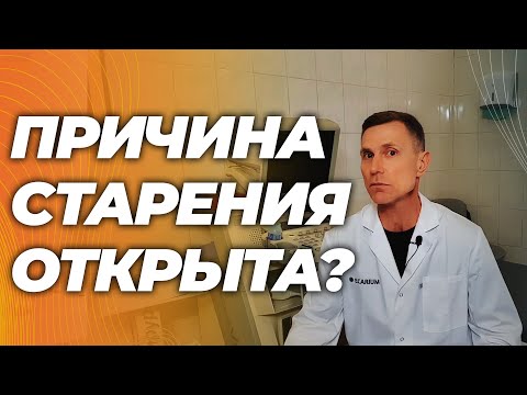 Причина старения та же самая, что и причина хорошего здоровья в молодости Причина старения та же самая, что и причина хорошего здоровья в молодости