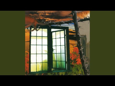 Recollection video