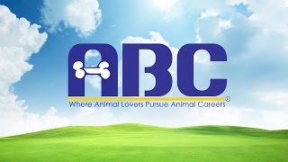 Talk With Jay Scruggs