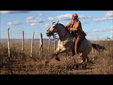 Um bom vaqueiro - Geninho Batalha