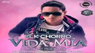 Vida Mia (Con Letra) - Renny El K-Chorro (Prod By Predikador) ★Reggaeton Romantico 2013★
