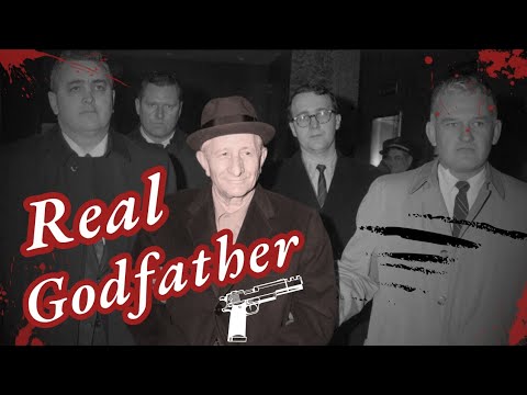Inside Carlo Gambino’s Dark Mind: A Psychological Dive into the Mafia Kingpin’s Murders